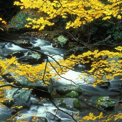 开云·kaiyun体育手机app下载